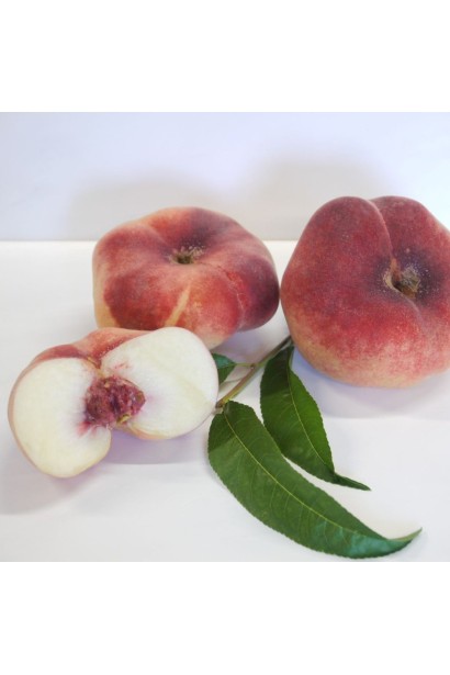 Плоди персика Світ Кап крупним планом — соковита м’якоть